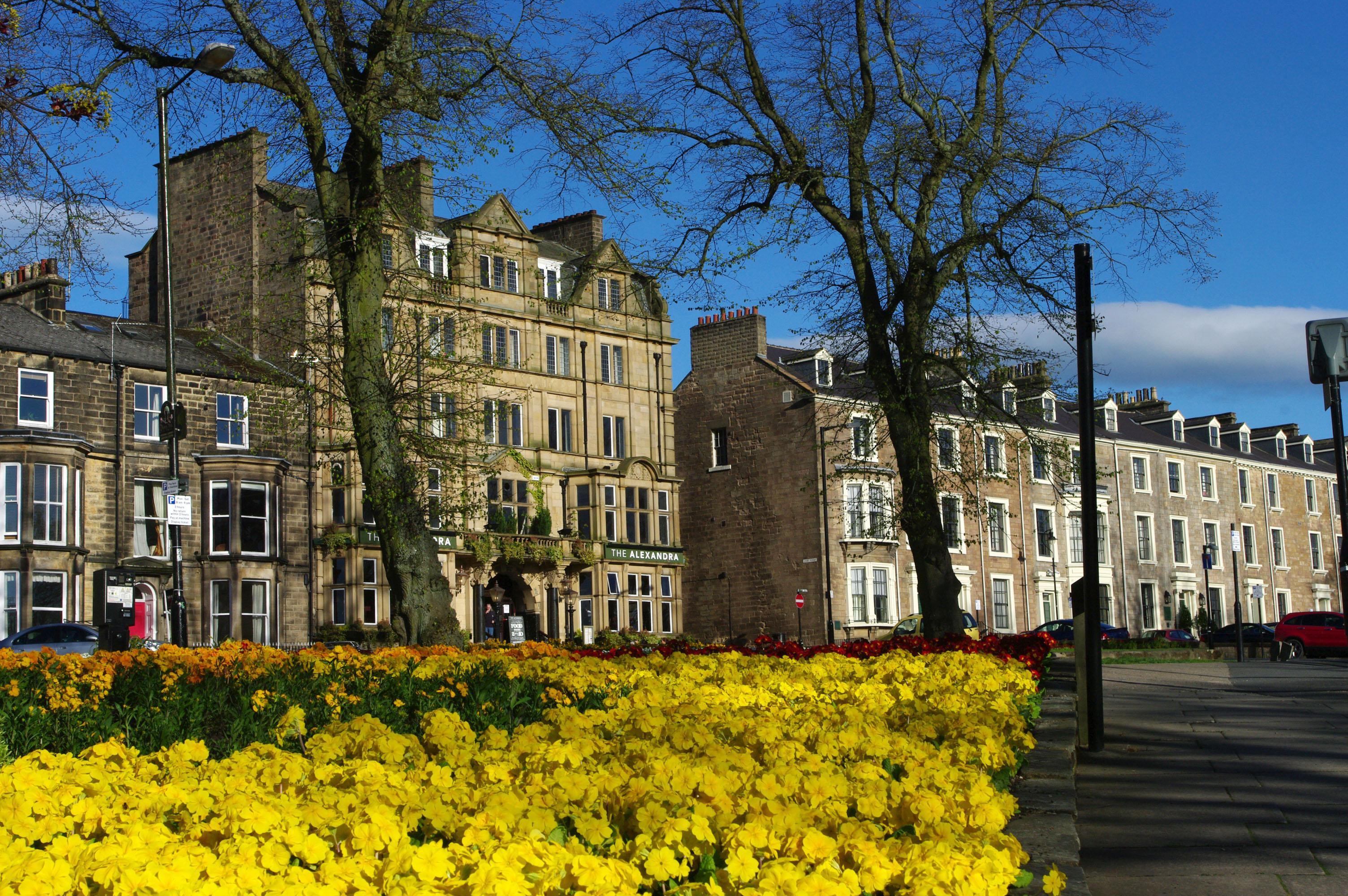 Search Every Type of Stay in Harrogate